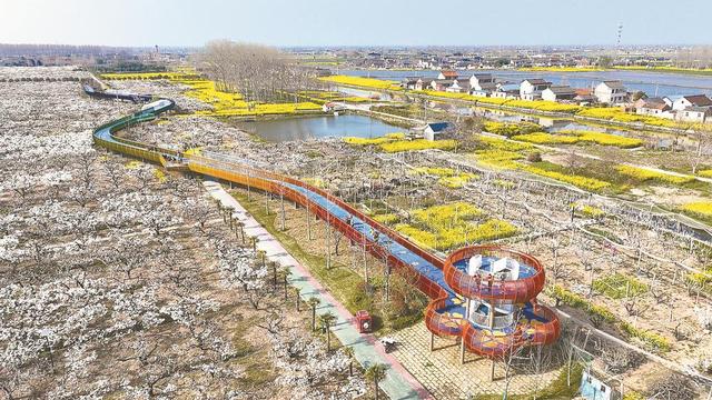 1652868465819066.jpeg e4dde71190ef76c673855bb79880e0f0ae516773.jpeg