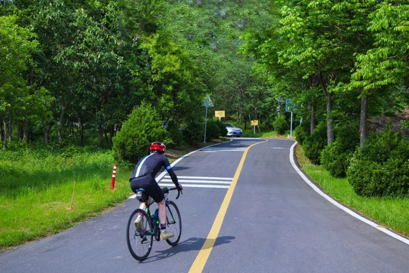 江寧路線5      .png